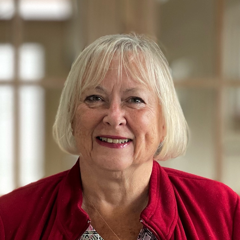 Susan Lomas